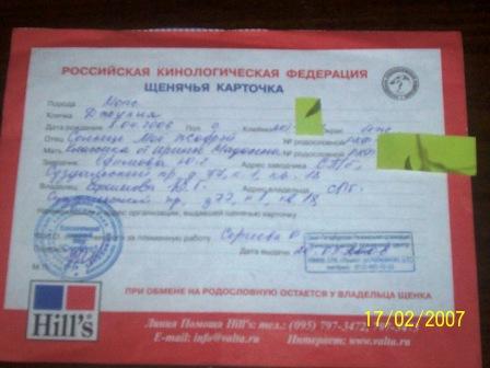 Прикрепленное изображение