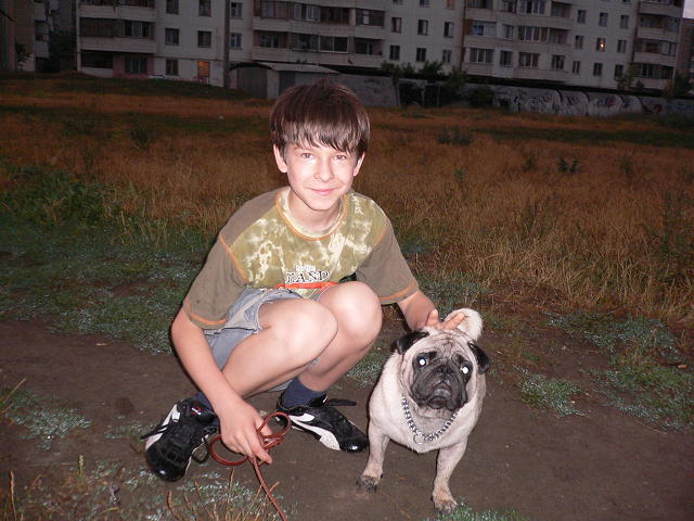 Прикрепленное изображение